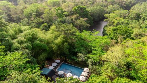 Sweet Songs Jungle Lodge - Housity
