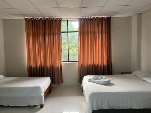 Hospedaje bolognesi - Housity