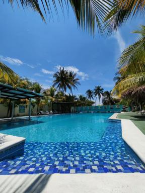 Coconut village - Housity