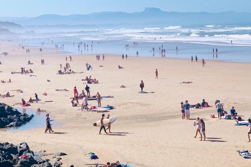 Carlina Lodge - Housity