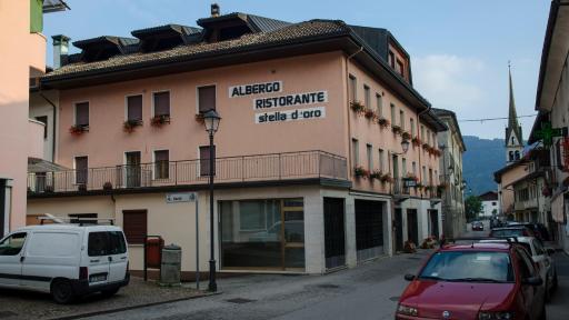 Stella d'Oro - Housity