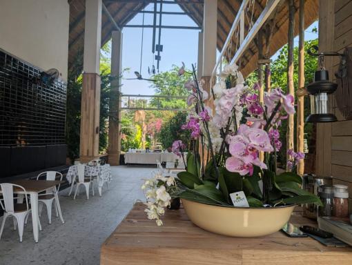 Sunbirds Chobe Hotel - Housity