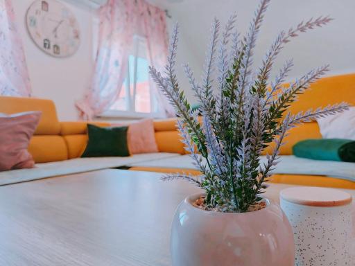 Zagreb, Apartman Jezz - Housity