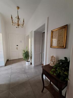 Apartman Soda - Housity