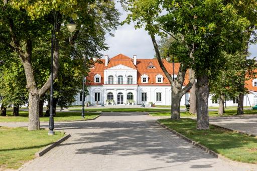 Pałac Domaniowski - Housity