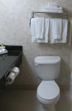 Holiday Inn Columbia East, an IHG Hotel - Housity