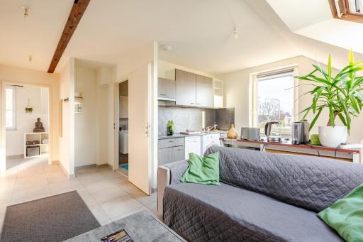 Charmant appart près Europa-Park Rulantica 30 min - Housity