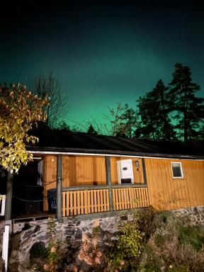 The Yellow House - Housity