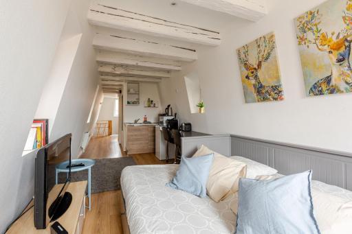** appartement cathédrale Strasbourg centre** - Housity