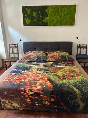 FerienAppartement NO.18 - Housity