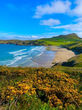 Craig-Y-Mor Bed & Breakfast with sea views Whitesands St Davids - Housity