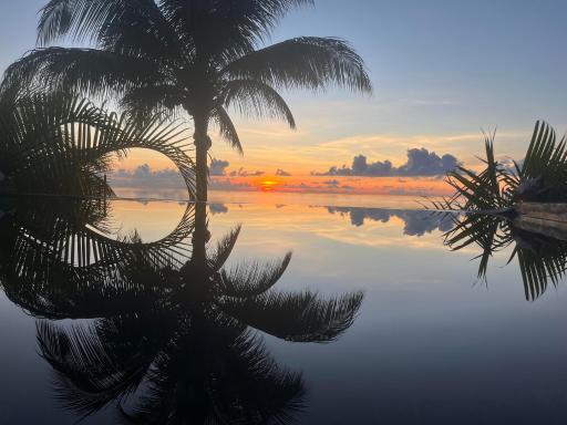 TropicAngel ECOLODGE de Charme - Housity