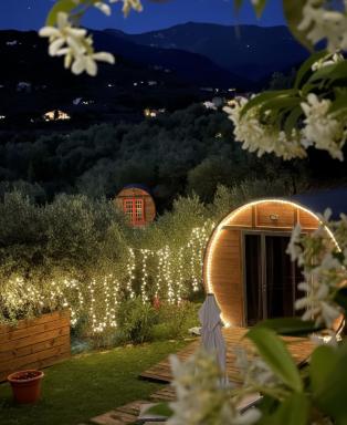 Le Botti Fiorentine - Housity