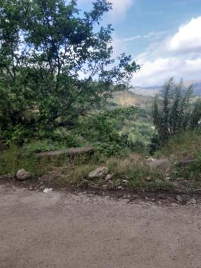 Blue Bell Homestay - Housity