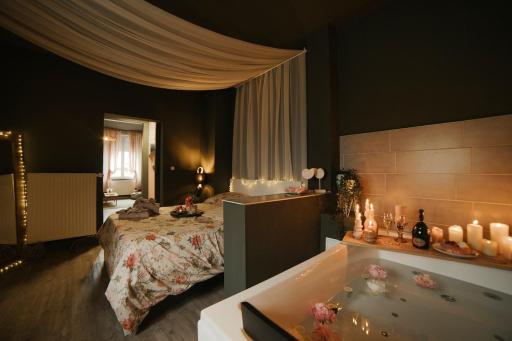 SPA#JACUZZI#CONFORT#Mulhouse - Housity