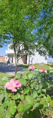 Pampa Modern Apartment - Housity