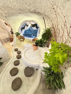Glamping CAVE - Housity