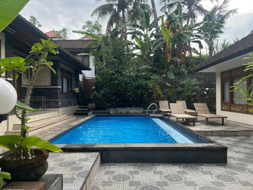 Balimas Guest House - Housity