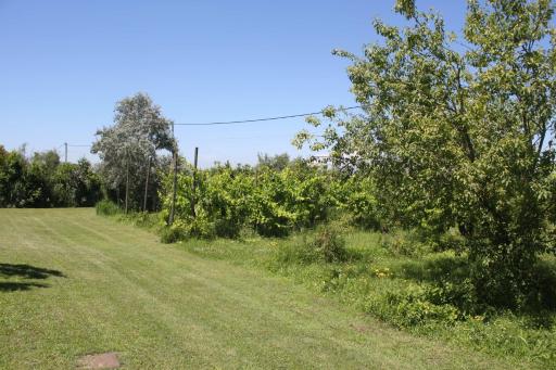 Tenuta Lio Maggiore - Housity