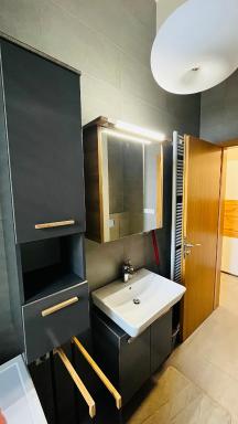 Apartment Holesovice, garden, garage - Housity