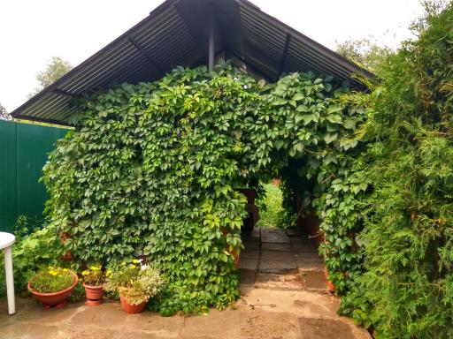 Guest House Rynochnaya 16 - Housity