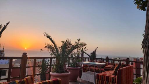 House Viola - Housity