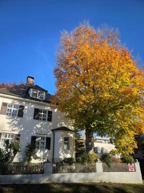 Altstadt-Domizil-Friedberg - Housity