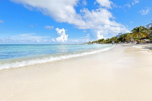 Grand Palladium Jamaica Resort & Spa All Inclusive - Housity