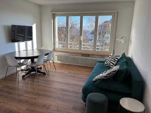 Apartment Lali Peseux, Neuchatel - 1 BR lake and Alps view - Housity
