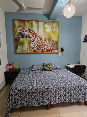 LoftJaguar - Housity