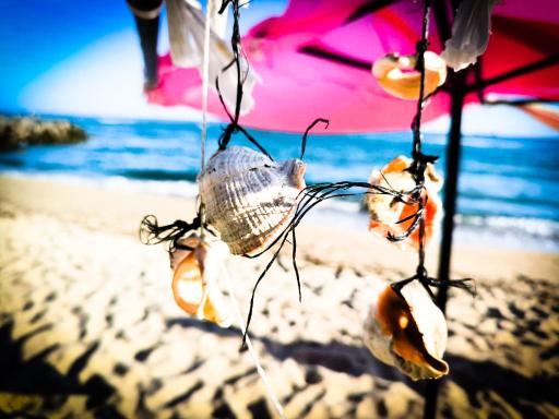 William's apartments - fourth pretty studio - Housity