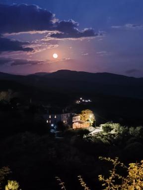 Guesthouse Selini - Housity