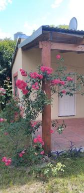 La lechuza - Housity