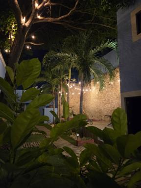 Hotel Maculís - Housity