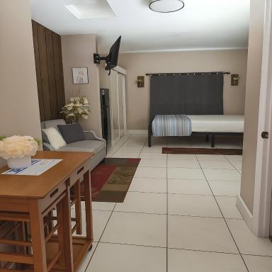 Green Castle Apartment in Tampa Near Airport and Busch Gardens - Housity