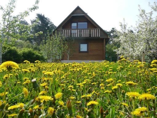Holiday House Niedras Jurmala - Housity