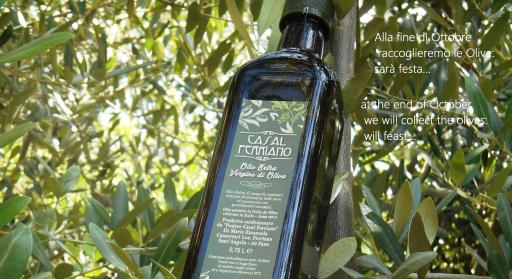 Casal Ferriano - Housity