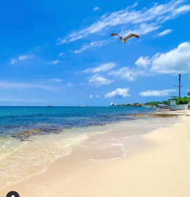 Estudio en Cozumel con vista al mar, Condominio con alberca A1 - Hizvo
