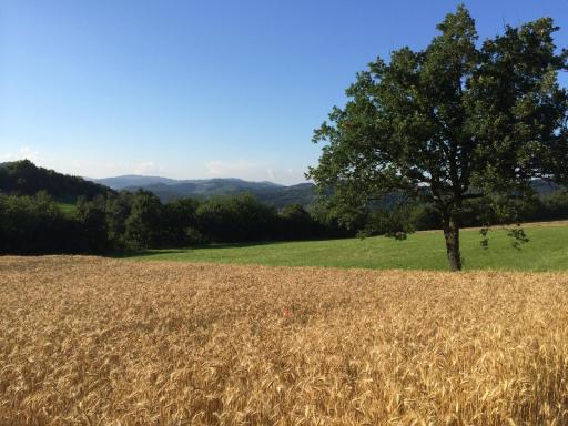 I Calleri Garden and Rooms - Housity