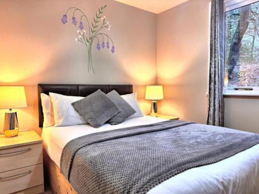 BlueBell 16-Hot Tub-Woodland Lodges-Pembrokeshire - Housity