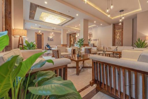 The Bodhi Tree - Housity