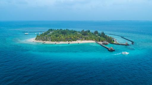 Taj Coral Reef Resort & Spa,Maldives - Premium All Inclusive with Free Transfers - Housity