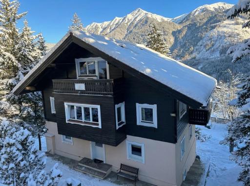 CHALET Sophie & Max in Bad Gastein - Housity