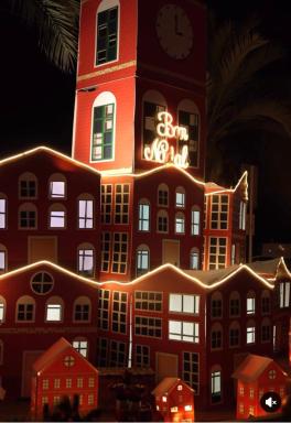 Parrot’s House - Housity