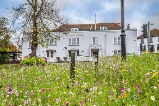 The Bear Esher - Housity