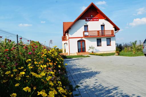 Pensiunea Ana - Housity
