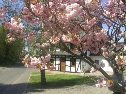 Holiday Home Romantisches Fachwerkhaus zwischen Rhein und Mosel by Interhome - Housity
