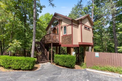 The Grand Treehouse Resort - Housity
