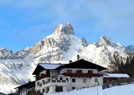 Haus Bergfried - Housity