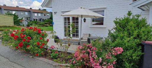 Apartment Tryms vei 20a - Stor Leilighet - Housity